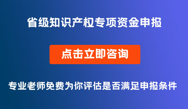 知識產(chǎn)權(quán)專項資金項目申報