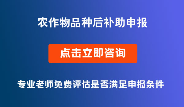 項(xiàng)目申報(bào)