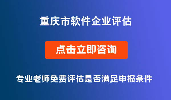 軟件企業(yè)評(píng)估