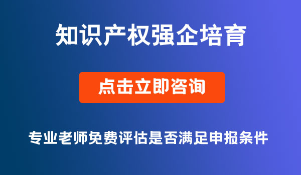 知識產(chǎn)權(quán)強(qiáng)企培育